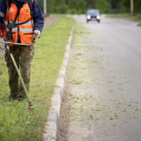 Is It Illegal to Leave Grass Clippings in the Road in Virginia? Here’s What Motorcyclists Need to Know Is It Illegal to Leave Grass Clippings in the Road in Virginia? Here